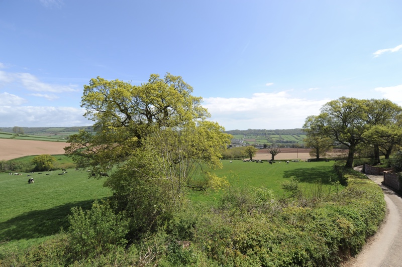 placeholder image sq