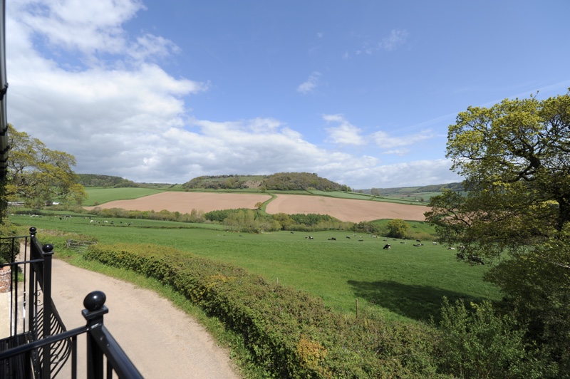 placeholder image sq