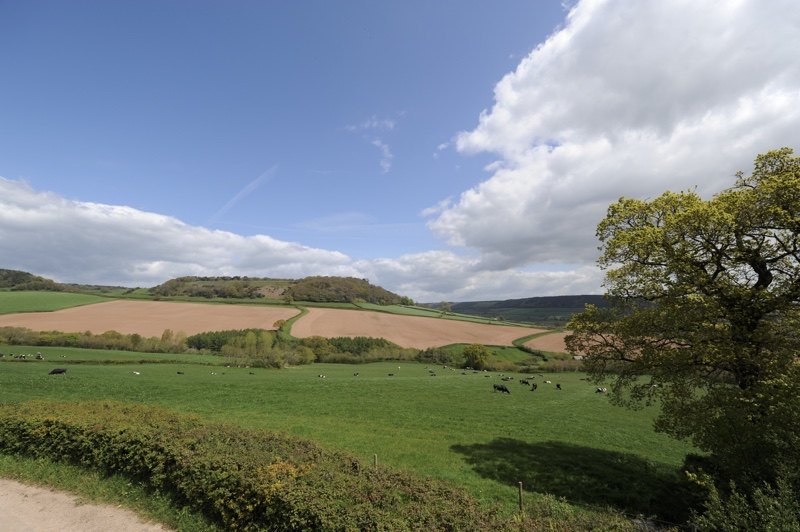 placeholder image sq